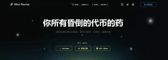 MAXR 币发行价格和发行总量是多少？