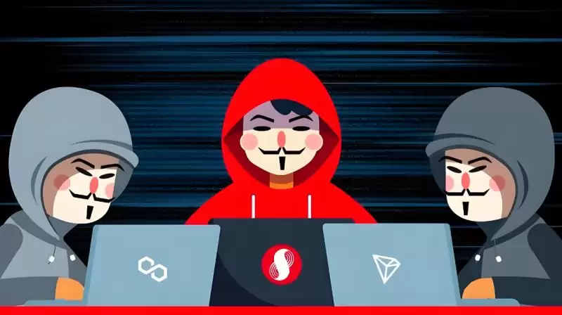 链上热钱在炒什么币？盘点值得关注的加密货币赛道