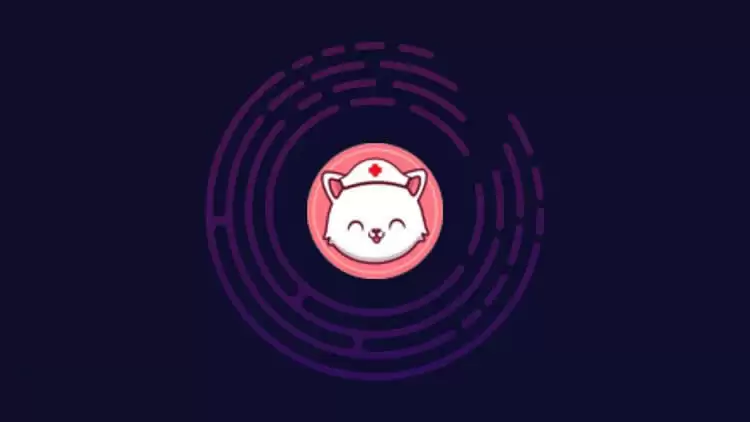 NCAT是什么币种？NCAT币官网总量和发行价介绍