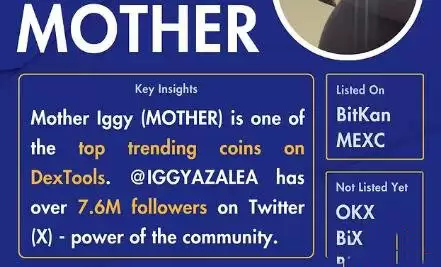 MOTHER是什么币？MOTHER代币经济学和价格分析