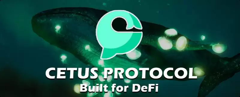 CETUS币是千倍币吗？会成为龙头币吗？值得长期持有吗？