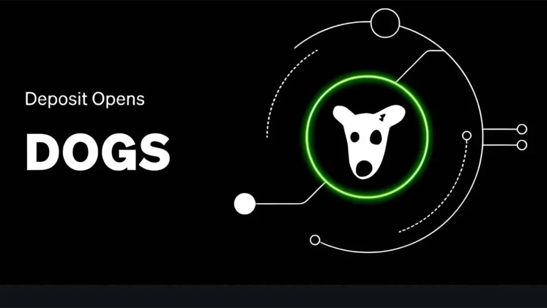 DOGS空投和交易有哪些需要注意的危险？