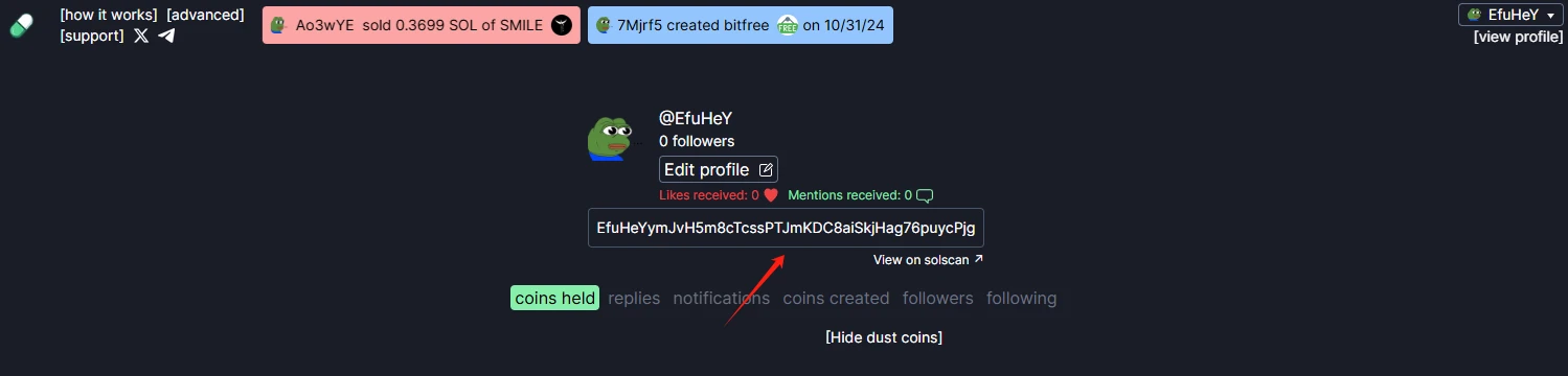 本周必参与赚钱项目盘点:Pump.fun、Morph、Space and Time交互教程