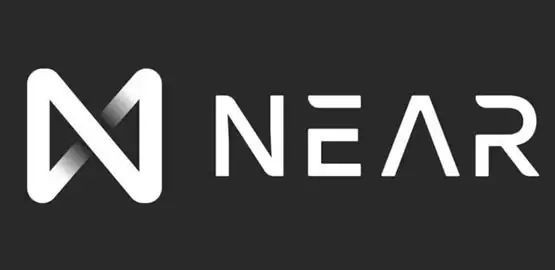 NEAR 币 2024 年价格走势分析