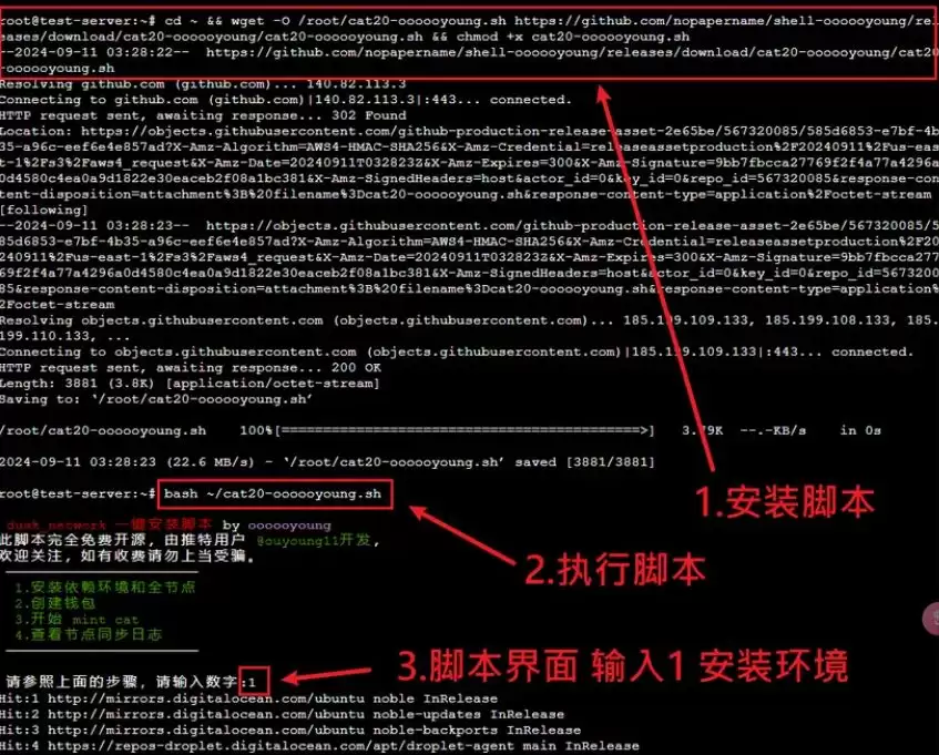 如何通过脚本一键铸造Fractal分型网络CAT Protocol代币