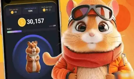 HMSTR币基本介绍