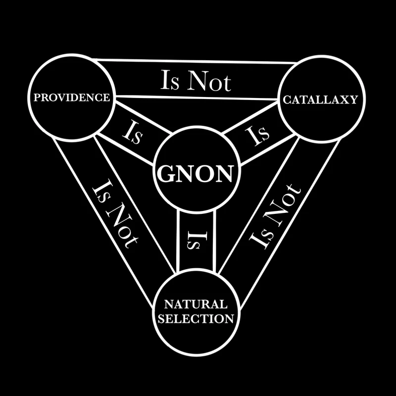 链上热钱在炒什么币？盘点值得关注的加密货币赛道