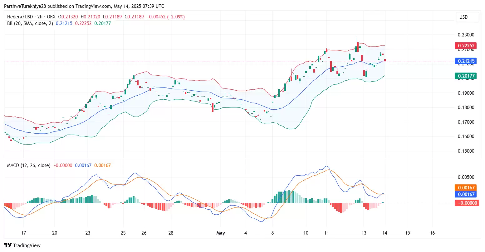 HBAR币前景如何？下个牛市能不能大涨？能涨到五块吗？
