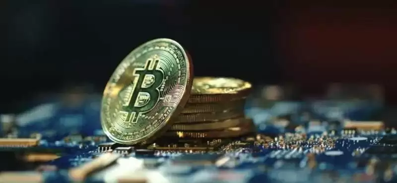 TON币会继续看涨吗？鲸鱼对TON充满信心将继续投资