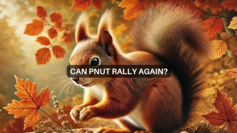 PNUT是什么币?PNUT币未来前景如何?PNUT币如何购买?