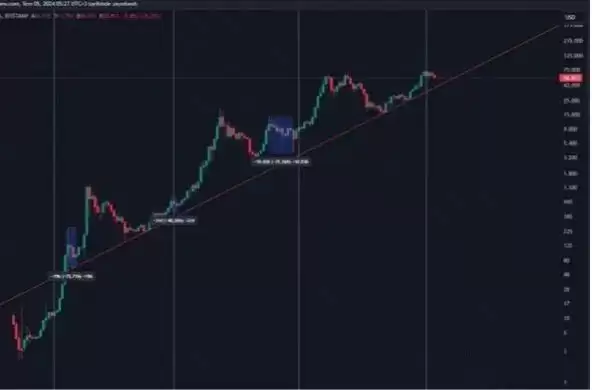 比特币现在是熊市还是牛市?会一定是看跌的吗?