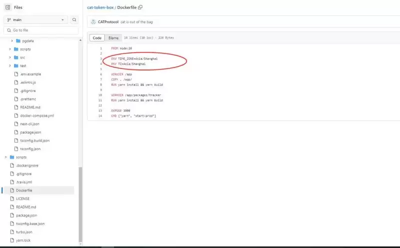 CAT Protocol技术架构图解