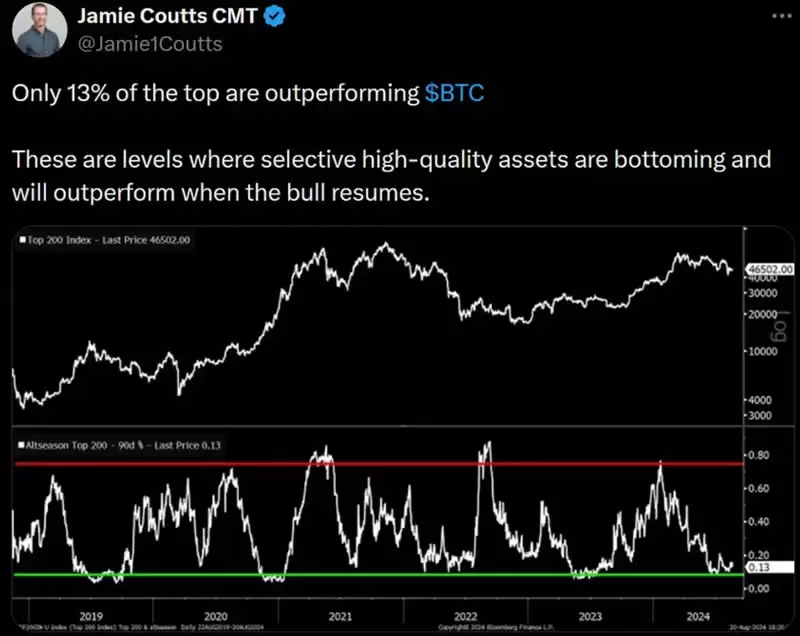 2025年山寨币展望报告:山寨币还有上涨的希望吗？