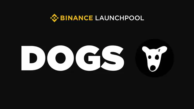 DOGS币行情复盘:从选币逻辑到预期管理来预判行情