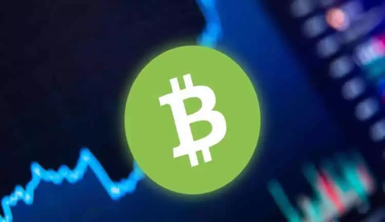 比特币现金(BCH)币未来如何?BCH币未来价格预测2025-2050年