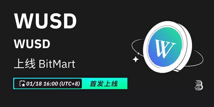 WUSD币:引领数字金融新时代的稳定币