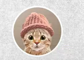 2025年5种最有潜力的猫主题Meme币的盘点