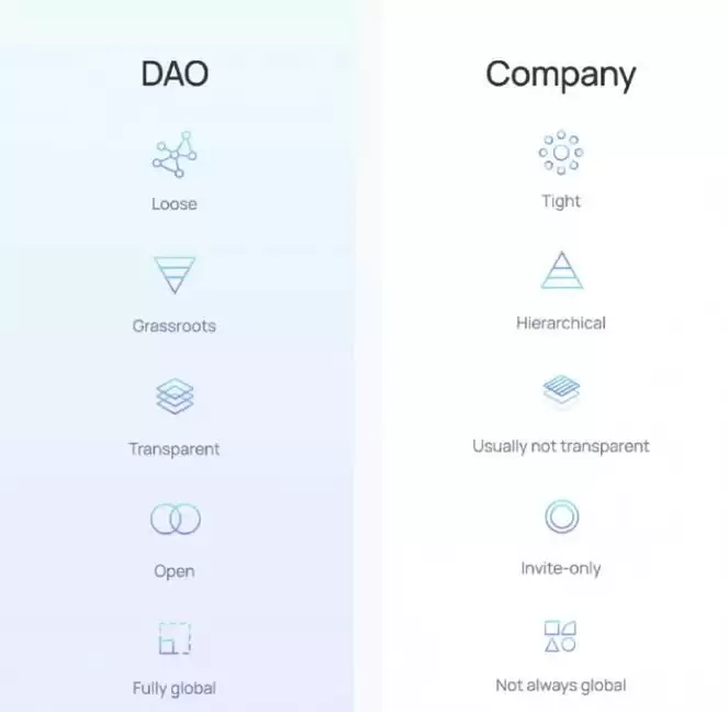 区块链DAO项目是什么意思?DAO投资技巧