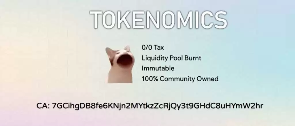 POPCAT币是什么?未来如何?POPCAT币价格走势预测