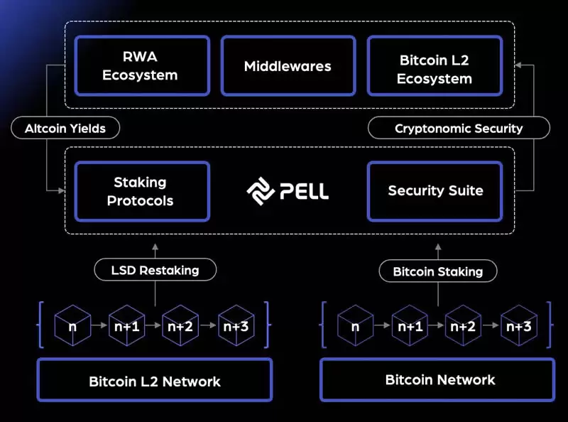 关于Bitlayer生态,有哪些项目值得关注?