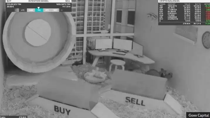 人们为什么玩仓鼠快打?虚拟承诺和真实利益