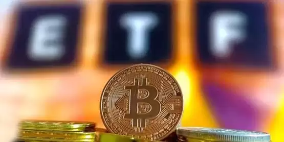 终结连续7天资金大失血!美国比特币现货ETF恢复净流入