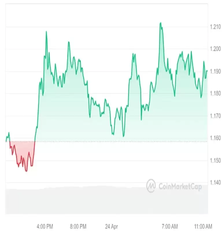牛市手里必须拥有的5种加密货币盘点