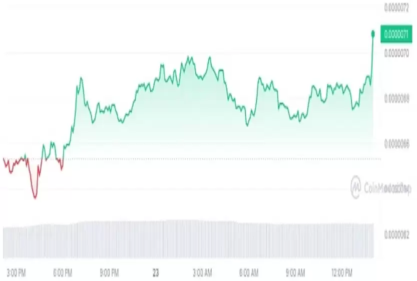 牛市比特币减半后暴涨的加密货币盘点