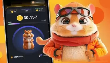 Hamster Kombat是什么?怎么玩?如何赚取HMSTR币?