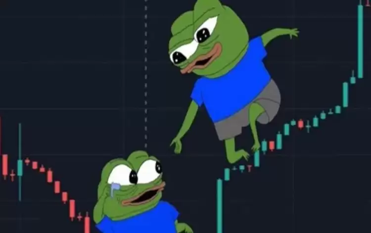 PEPE币下轮牛市会爆发吗？PEPE币下轮牛市会暴涨吗？