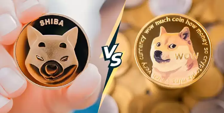 柴犬币(shib币)是什么?从迷因到奇迹,柴犬币如何征服加密世界?