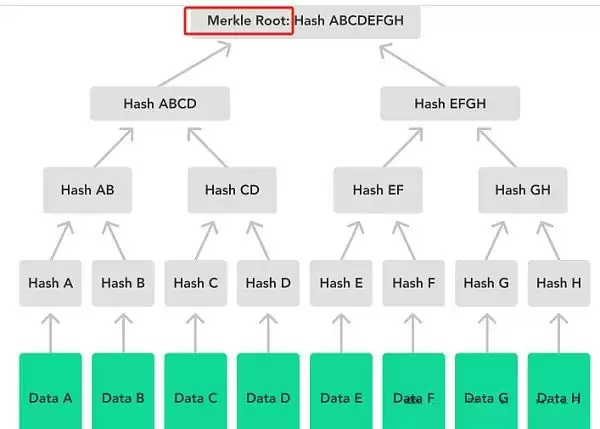 一文详解比特币虚拟机BitVM所需的背景知识