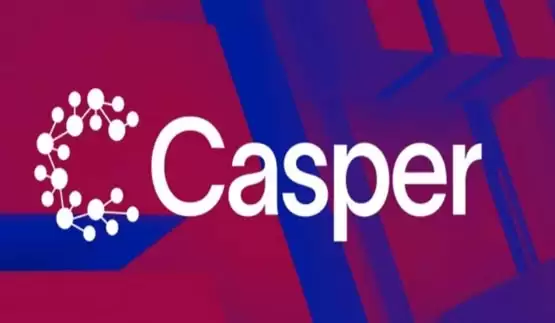 CSPR币的历史最高价