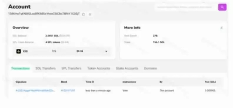 Solscan是什么公链？如何使用Solscan功能？