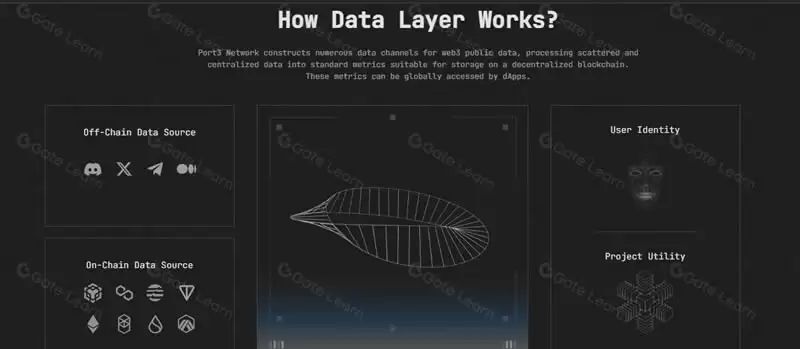 什么是Port3网络？Port3网络如何运作？