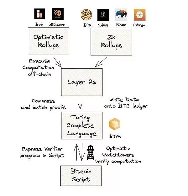 BTC生态潜力探析