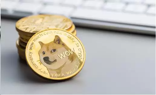 DOGE币市值变化