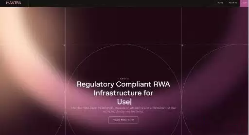 什么是现实世界资产（RWA）代币化以及2025年RWA项目盘点？