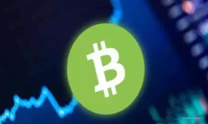 BCH币未来如何?2025-2030比特币现金(BCH)价格预测