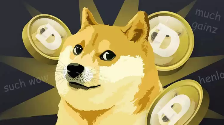 深度分析DOGE币未来还会暴涨吗?