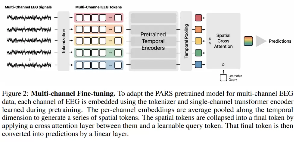 AirPods 将变“读心”设备：苹果 AI 新研究暗示未来耳机可读取脑电波