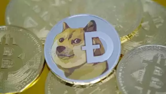 狗狗币下一轮牛市能涨到多少钱？