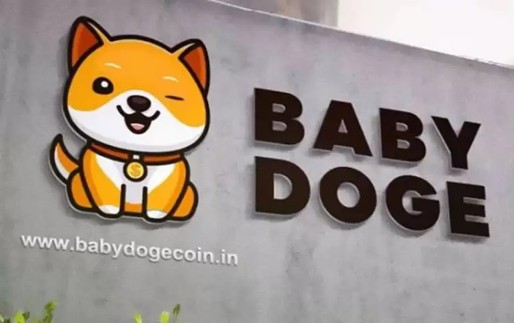 宝贝狗币未来如何？会成为下一个狗币吗？BabyDoge币价格预测