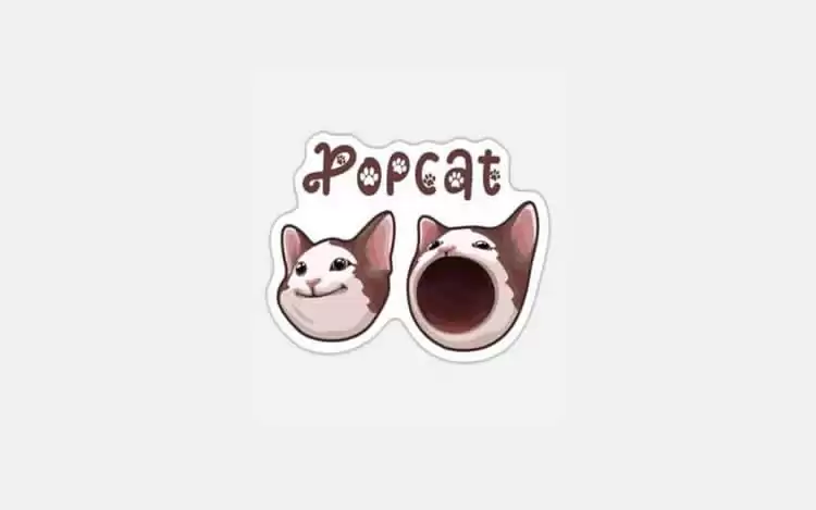 POPCAT币是什么?未来如何?POPCAT币价格走势预测