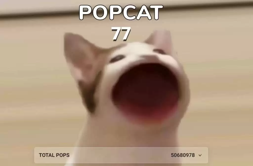 POPCAT币是什么?未来如何?POPCAT币价格走势预测