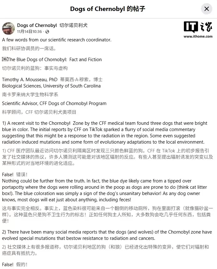 专家回应切尔诺贝利“蓝色流浪犬”:非辐射变异,实为毛发被垃圾染色