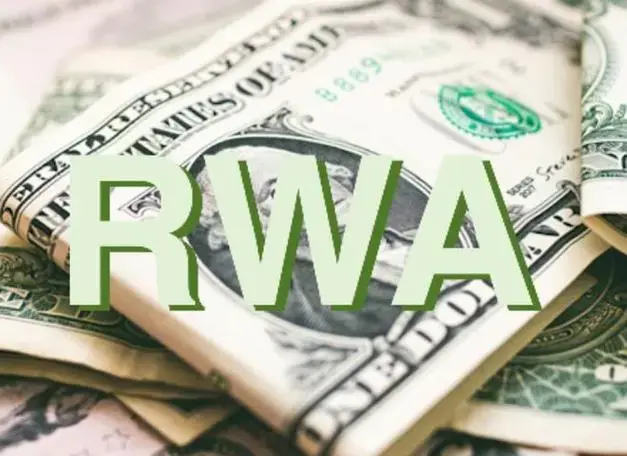 RWA项目未来如何?评估RWA项目的框架