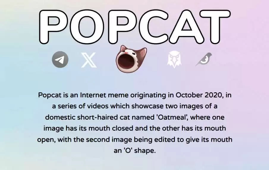 POPCAT币是什么?未来如何?POPCAT币价格走势预测