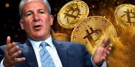 恐慌抛售还有第2波?比特币大反派Peter Schiff:今晚现货ETF开盘等着瞧