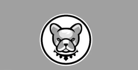 PIT币有没有潜力发展？深度分析PIT币的未来前景